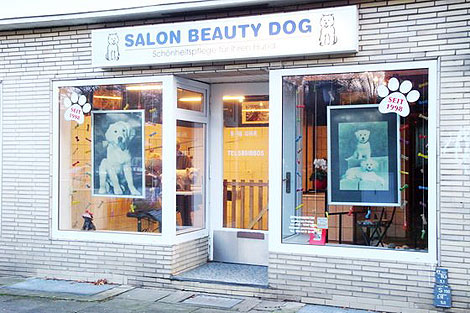 Salon Beauty Dog